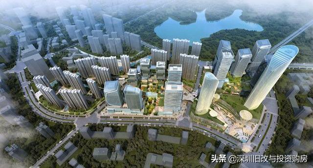 龍崗最新資訊，學(xué)習(xí)變革，自信成就未來之路
