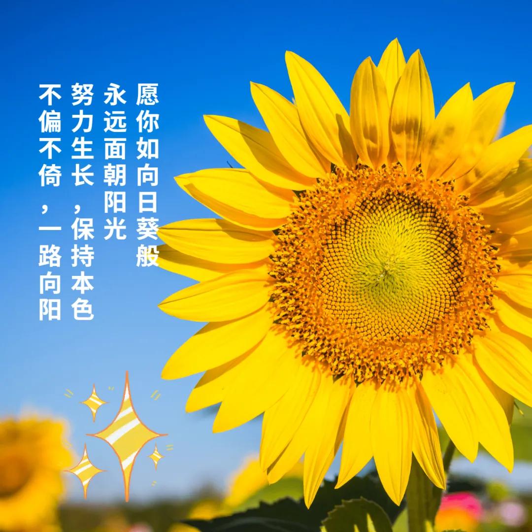 精選語錄回顧，蛻變成長(zhǎng)與無限可能——我的朋友圈故事 2017年度回顧
