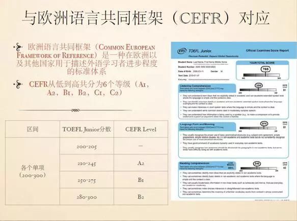 最新本科資訊，探索自然美景之旅，尋找內(nèi)心的平和與寧?kù)o