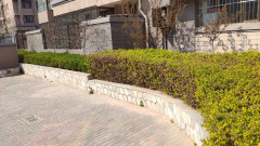 陽(yáng)光國(guó)際城601，家的溫馨與友情深度鏈接的實(shí)景圖展示