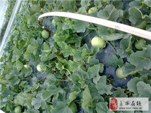 靜電噴涂及電泳漆加工 第152頁