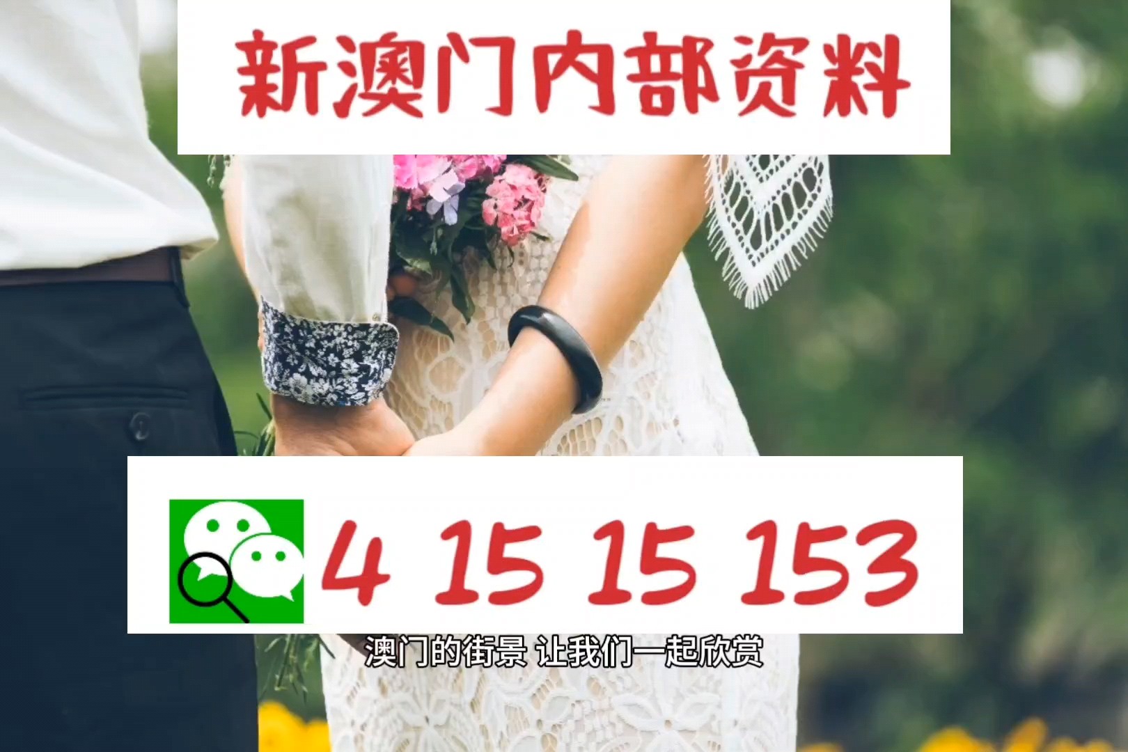澳門三期內(nèi)必開三肖,全面實施策略設(shè)計_改進版4.584