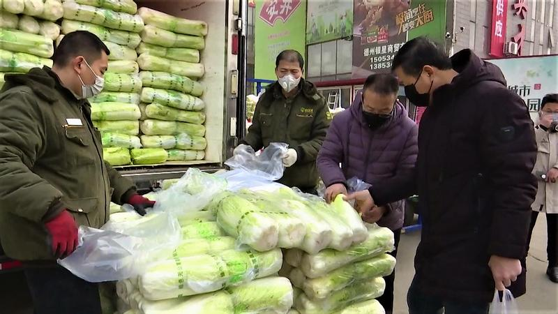 德州市場最新菜價(jià)更新，全面指南
