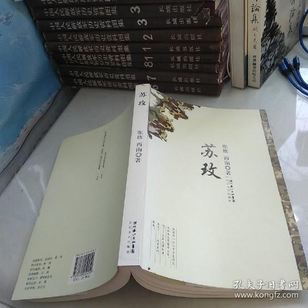 時(shí)代背景下的璀璨篇章，蘇最新章節(jié)速遞