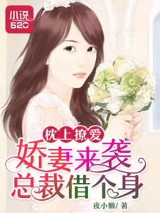 枕上撩妻有道，心動不已的浪漫之旅最新章節(jié)
