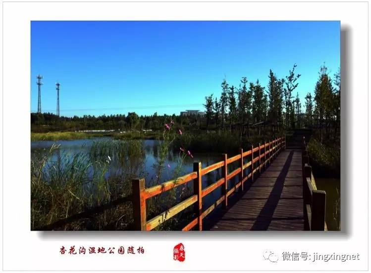 涼灣濕地公園奇妙一日游，最新消息揭秘探險之旅！