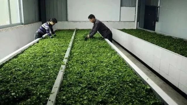 漁具配件 第5頁