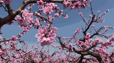 榆中縣新世界最新房?jī)r(jià)，夢(mèng)想躍動(dòng)的起點(diǎn)
