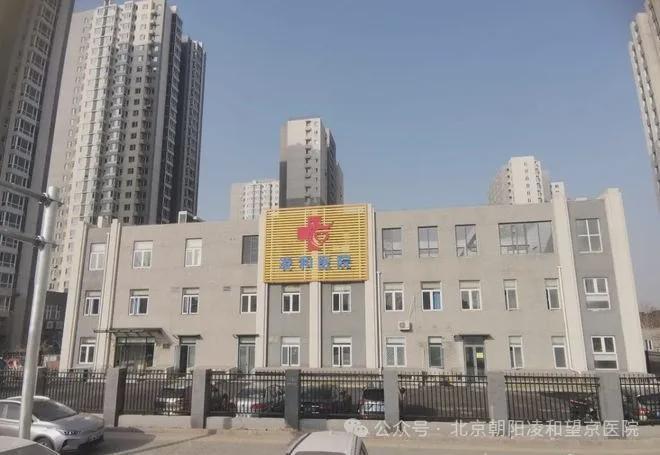 東壩福滿園，小巷特色小店的獨特魅力與最新消息揭秘