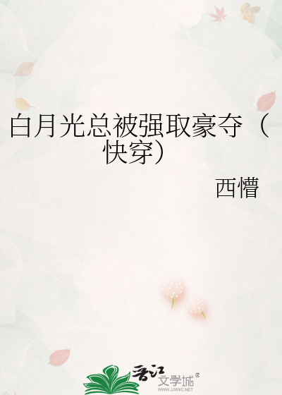 程旖柔沈涅最新章節(jié)，深度解析、展望與角色發(fā)展全揭秘